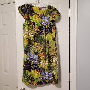 Loft Hummingbird dress Sz S
